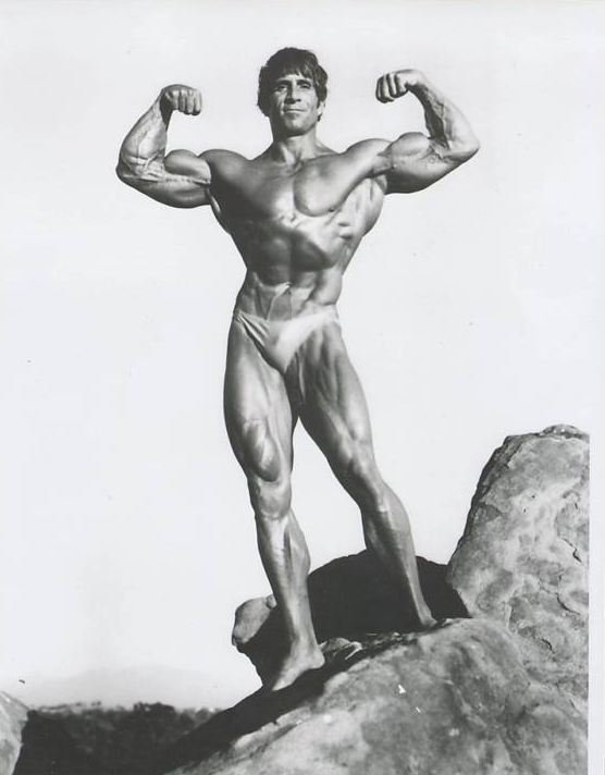 Steve Davis was one of many famous endomorph bodybuilders that competed at Mt.Olympia and IFBBB.