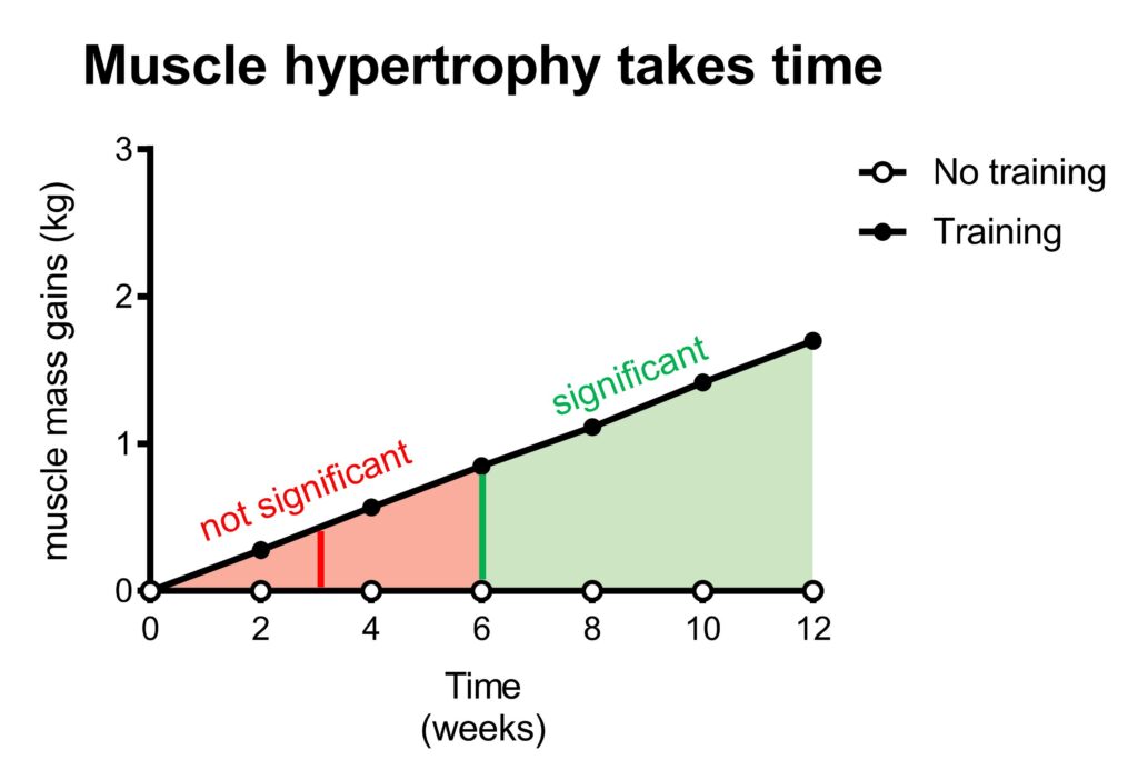 Muscle Hypertrophy Chart Showing the Increased Muscle Growth Over Time