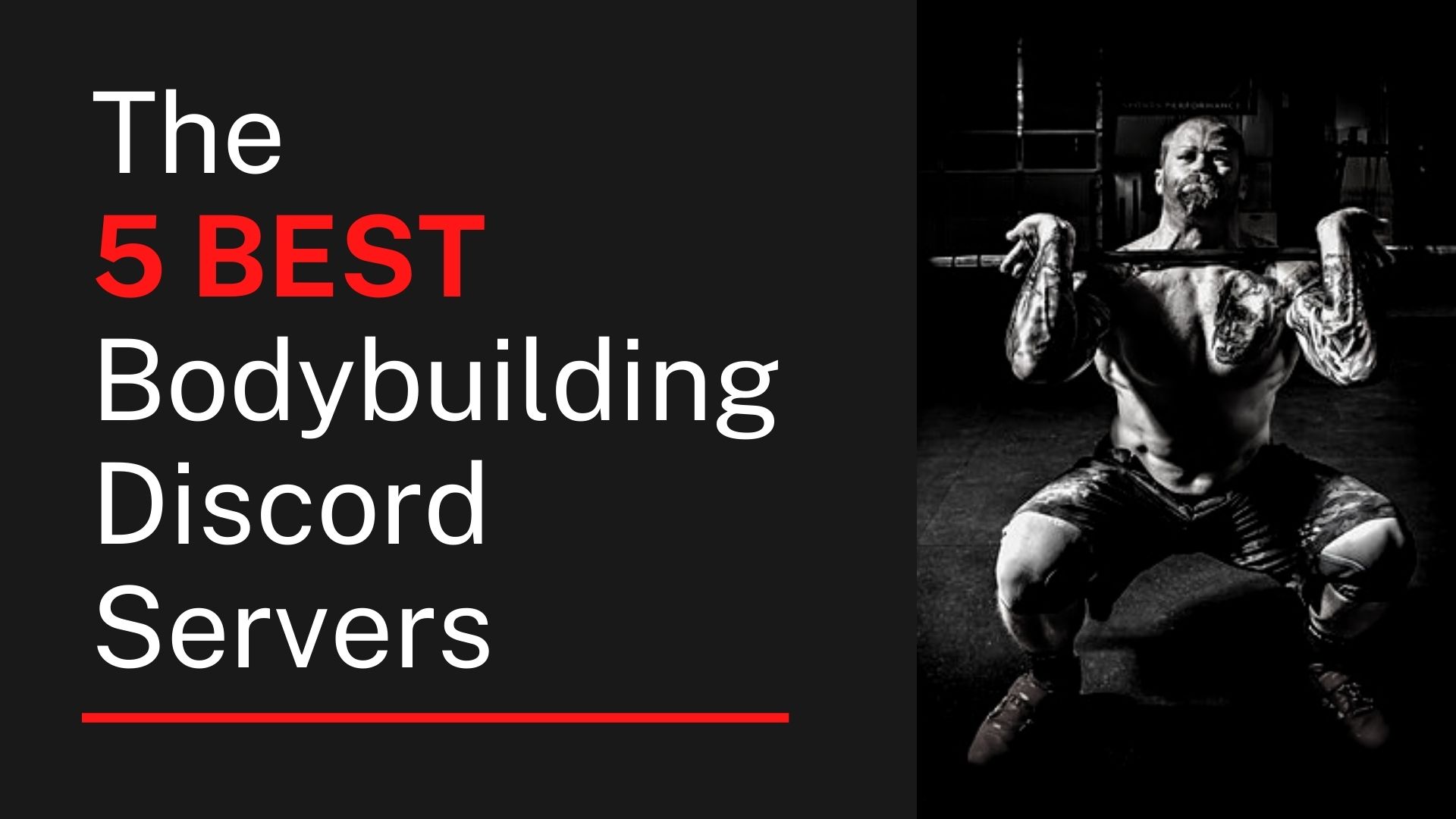 5 Best Bodybuilding Discords – Vekhayn